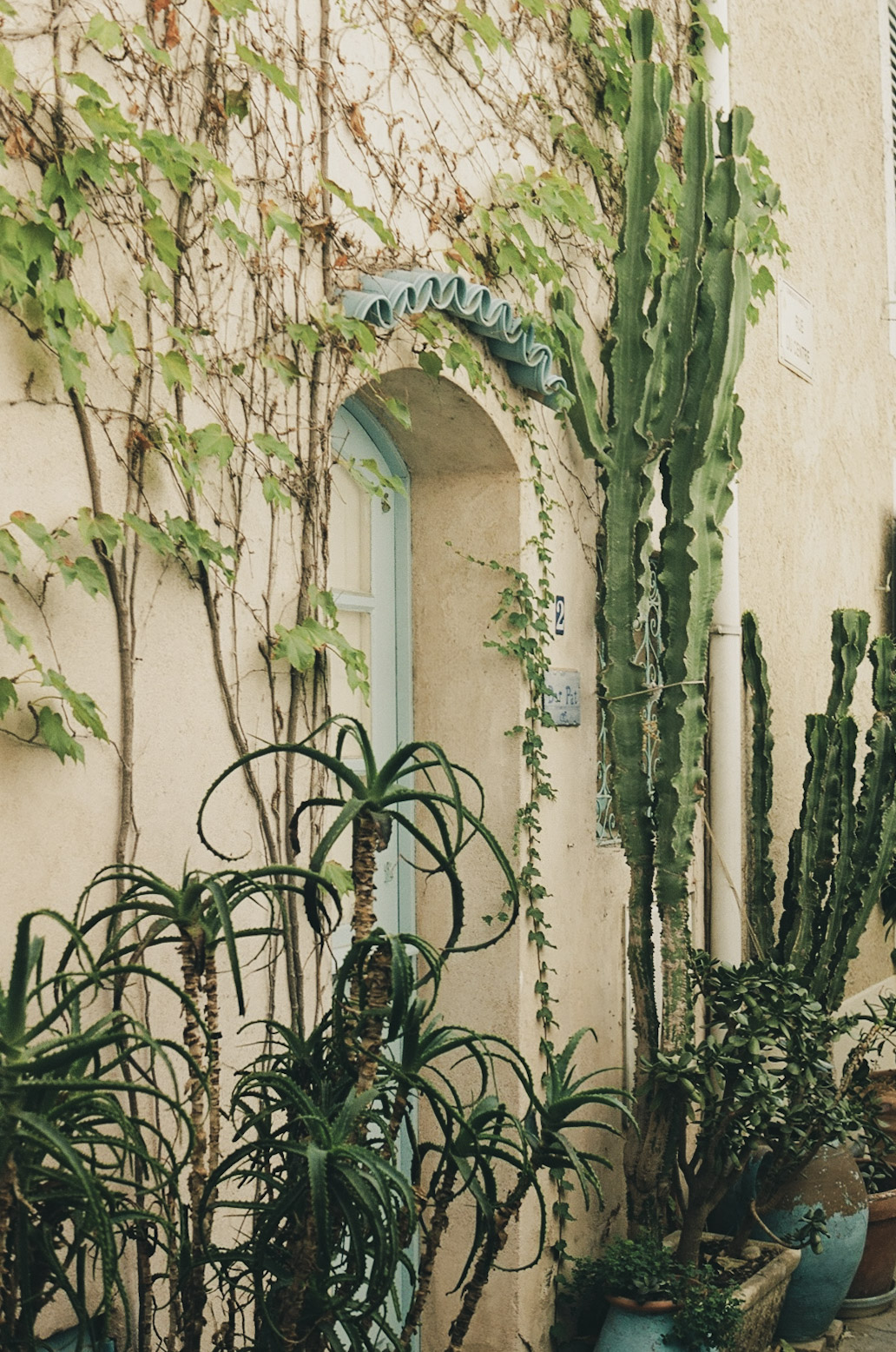 Photograph 16