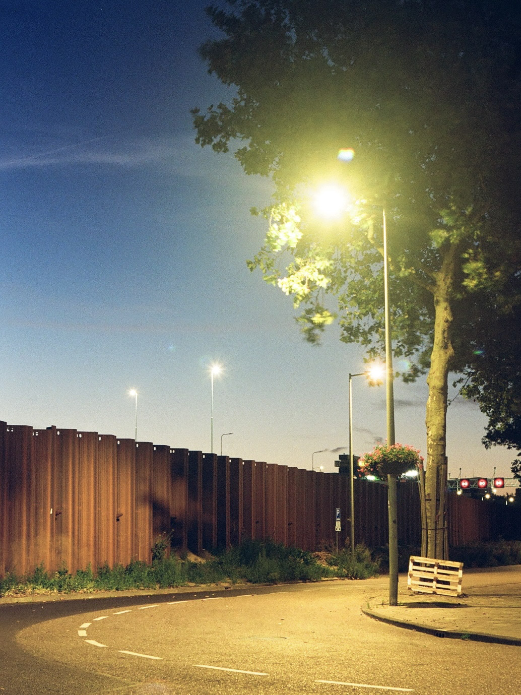 Photograph 8